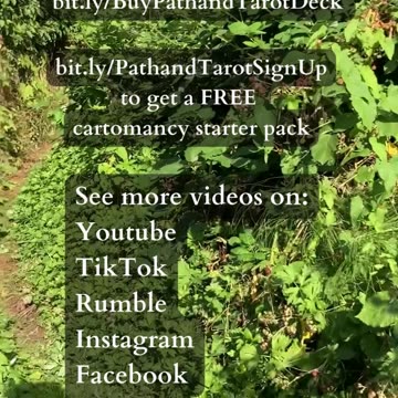 Universal Trust | Path and Tarot Reading