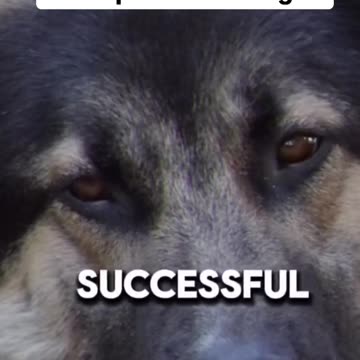 This is WHY I love my dog so much