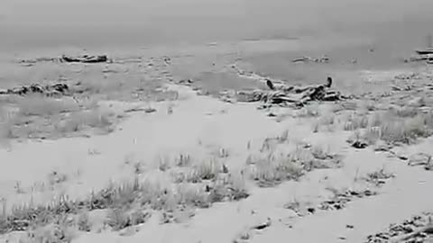 Russians Walking Past Unit That Left 2 Days Prior in Kursk