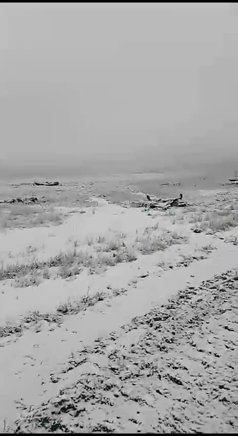 Russians Walking Past Unit That Left 2 Days Prior in Kursk