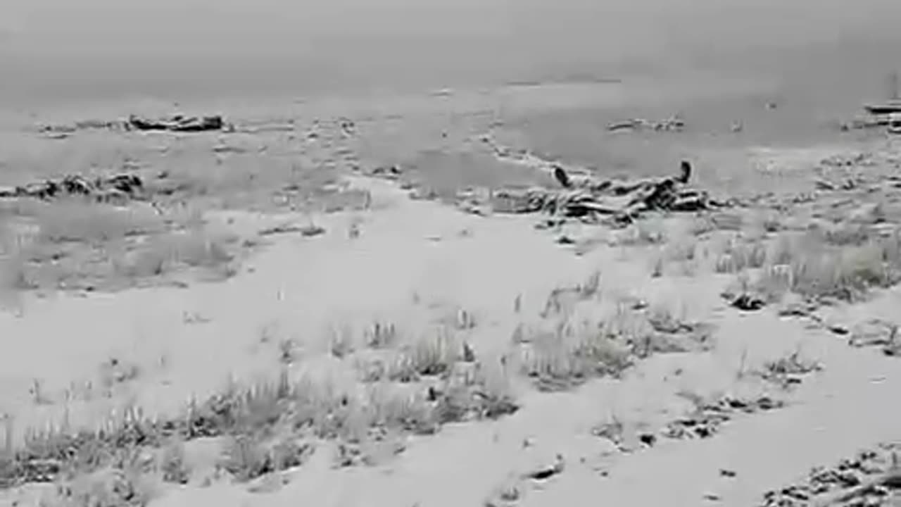 Russians Walking Past Unit That Left 2 Days Prior in Kursk