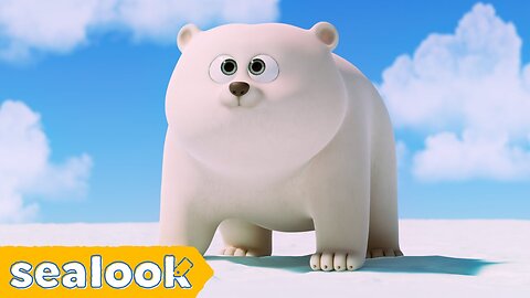 How I Met My Baby Polar Bear? | SEALOOK | EP.109