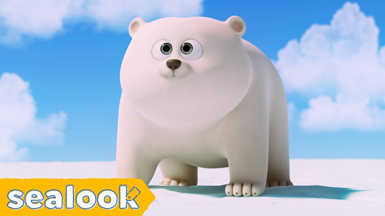 How I Met My Baby Polar Bear? | SEALOOK | EP.109