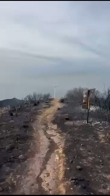 Thousands of acres burned though, the Cross still stands.