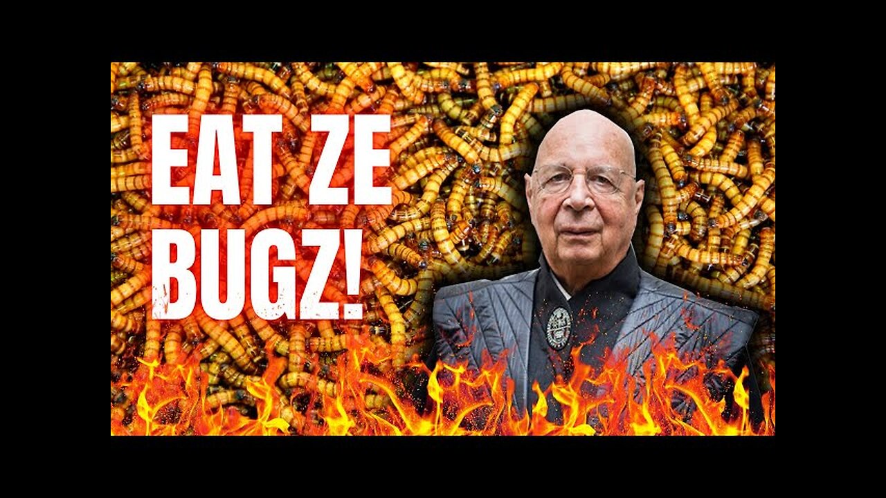 Klaus Schwab says you will EAT ZE BUGZ! look what your overlords are planning for you.