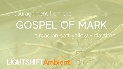 Gospel of Mark - Bible Verse Encouragement - Circadian Soft Yellow - Daylight | LIGHTSHIFT Ambient