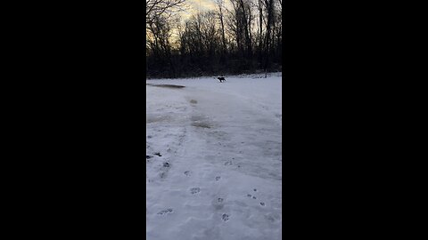 Snow day at the park