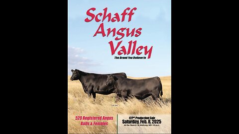 Schaff Angus Valley 2025 Annual Production Sale Catalog, St. Anthony, North Dakota