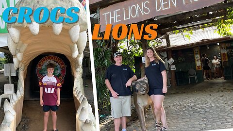 Salt Water Crocodiles vs The Lions Den || Bloomfield Track and the Daintree Rainforest.