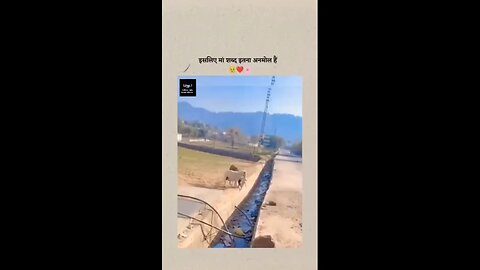 like video