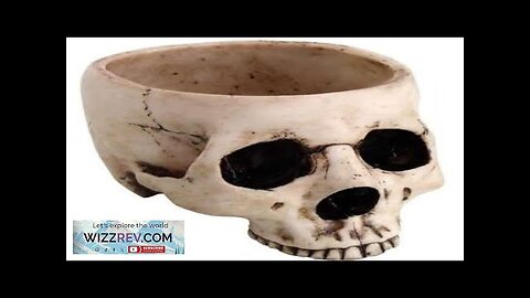 Skull Bowl in Resin Review