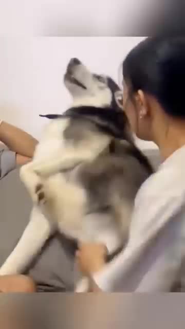 Funniest Video Compilation | Try Not to Laugh! 😂