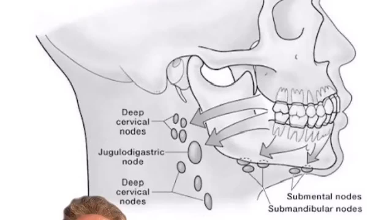 Here’s another clip on draining lymph from your face and teeth (jaw) down into the...