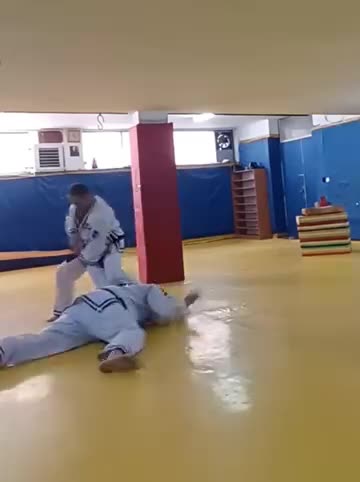 Hapkido