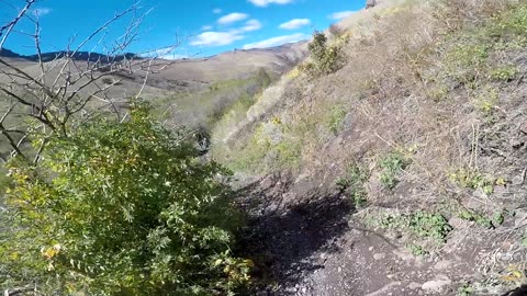 Sawtooth National Forest Idaho - Single Track - Third Fork Trail - Dirtbikes