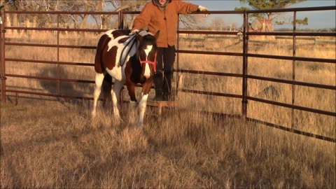 The Next Step in Getting Ready to Ride (Training)