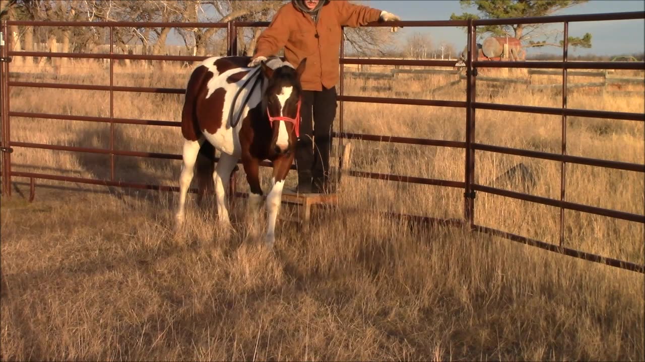 The Next Step in Getting Ready to Ride (Training)