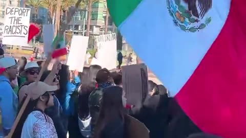 Protesters fly foreign flags as they protest against deportating criminal illegal