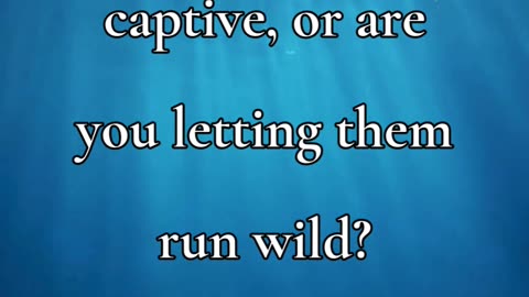 Are you taking your thoughts captive, or are you letting them run wild?