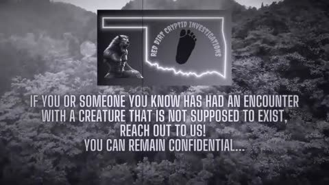 The suburban Bigfoot Documentary and investigation: the “White Witch” of Stinchcomb