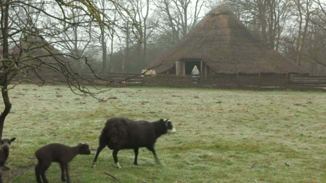 Giving Nature A Home RSPB