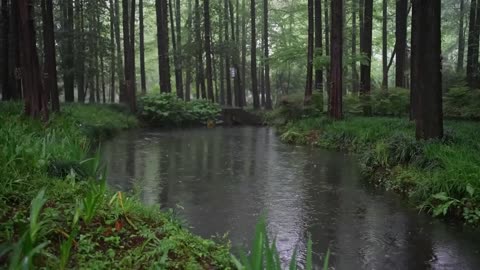 The beautiful little river is raining