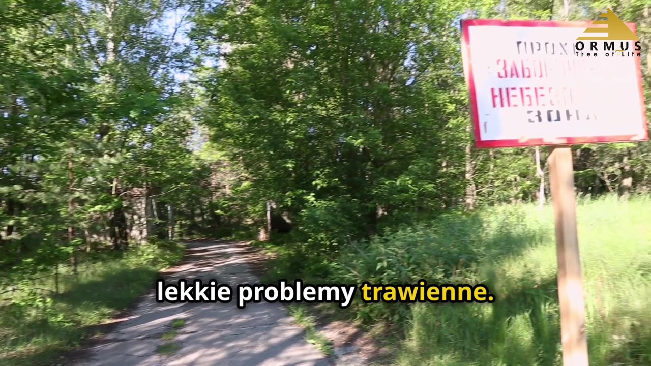 Przytulia Czepna – Naturalny Detoks i Wzmocnienie Zdrowia! Niezwykłe Właściwości Rośliny!