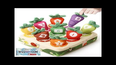 Montessori Carrot Pull Toddlers Toy Numbers Colors Motor Skills Early Learning Soft Review