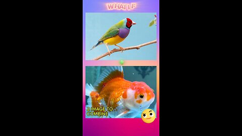 WHAT IF 2 IMAGE COMBINE ????!?