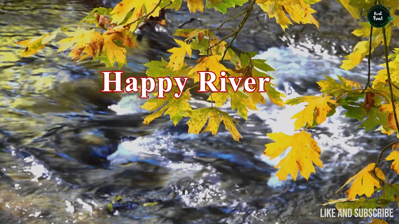 The Happy River – A Journey Through Nature Beauty