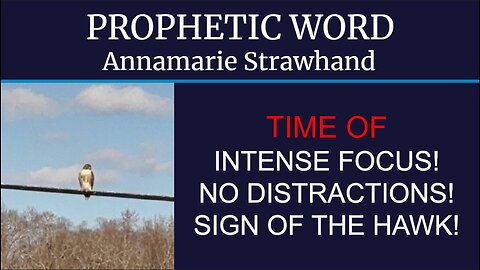 Prophetic Word: Time of Intense Focus! No Distractions! Sign of the HAWK!