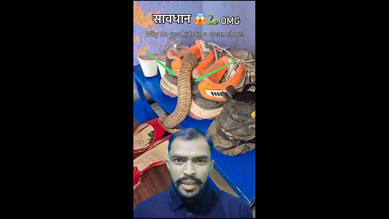 सांप जूते में क्यों घुसते हैं सावधान वरना जान को खतरा🐍