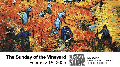 The Sunday of the Vineyard — February 16, 2025