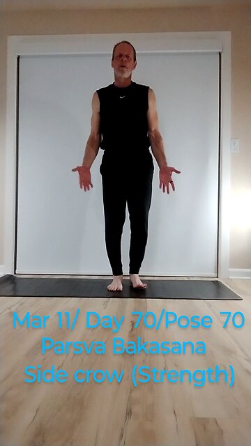 Parsva Bakasana / Side crow Parsva Bakasana / Side Crow (strength)