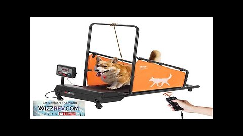 Dog Treadmill for Medium Dogs Electric Pet Treadmill for Agility Training Review