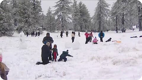 San Diego mountains beat out Big Bear for most snowfall overnight