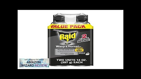 Raid Wasp & Hornet Killer Spray Bug Killer Kills the Entire Nest Review