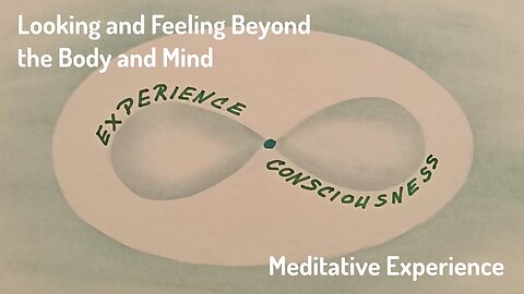 Looking and Feeling Beyond the Body and the Mind - Meditative Experience #2