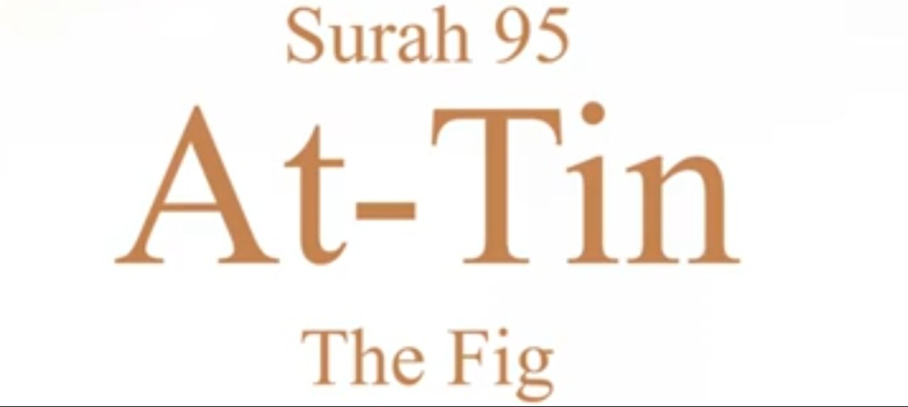 Quran Nazil Surah 28 | Book Surah 95 | Surah At-Tin | Makki Surah |