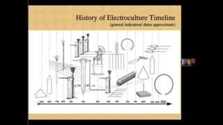 ELECTROCULTURE - COPPER WIRES IN GARDENS TO ATTRACT EARTH'S ENERGY + KEEP BUGS AWAY