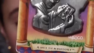 Did You Know :Vintage Harry Potter Magnet Collectibles Exist!?