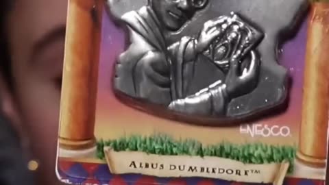 Did You Know :Vintage Harry Potter Magnet Collectibles Exist!?