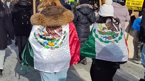 Marchando en apoyo de México, Palestina, migrantes, etc..