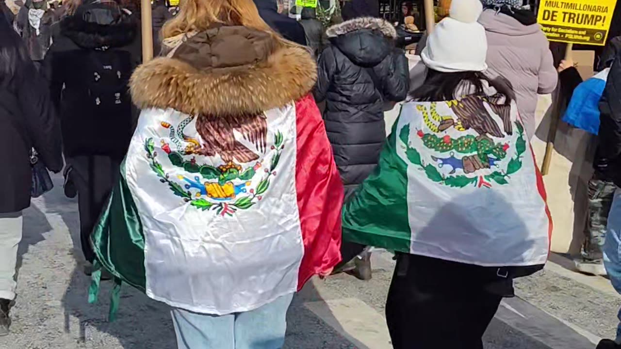 Marchando en apoyo de México, Palestina, migrantes, etc..