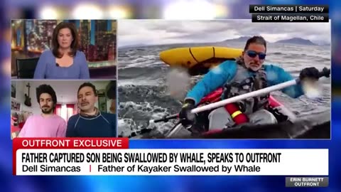 Kayaker describes being swallowed and spit out by whale