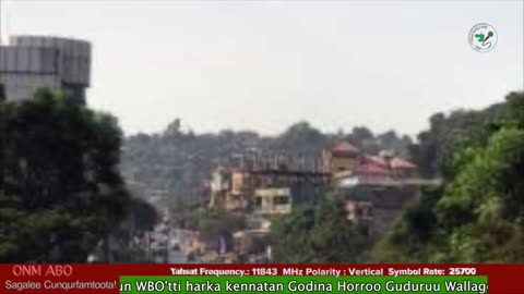 Oduu Waaree ONM-ABO Guraandhala 21 -2025 itti dhiyaadhaa!