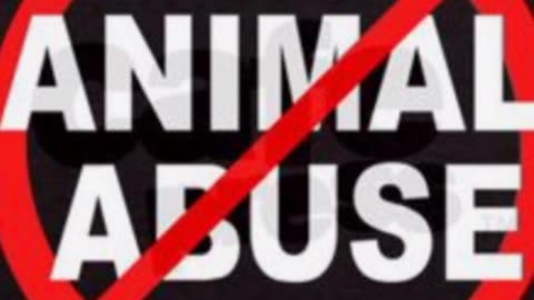 🚫NO TO ANIMAL ABUSE - ZERO TOLERANCE FOR ANIMAL CRUELTY !!!