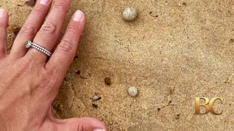 Sydney beaches shut once again over mysterious debris washed on shore