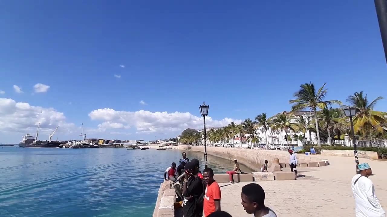 STUNNING HARBOUR VIEWS, BOATS, FERRIES, BEACH FRONT, LOCALS HAVING FUN ON A HOT SUNNY DAY #travel