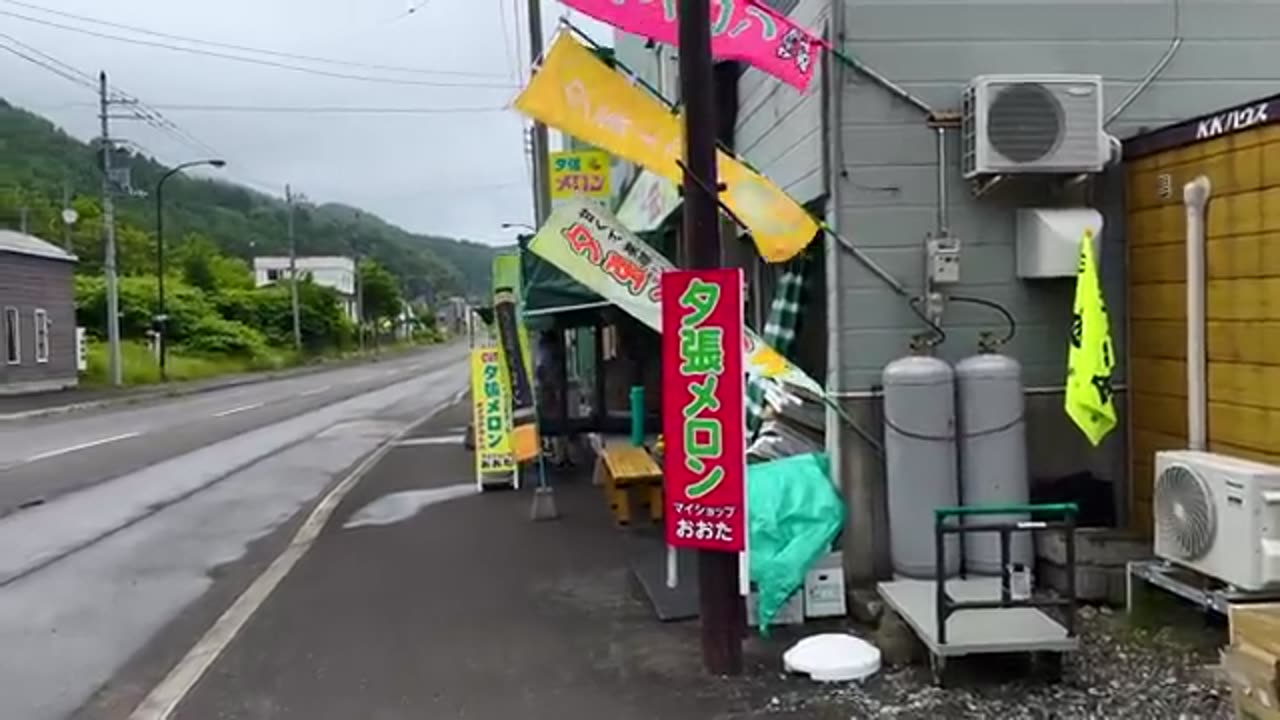 I Tried World's Most Expensive FRUIT in JAPAN EP 12 - THE KING OF MELONS